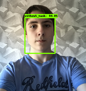 Object Detection Inference