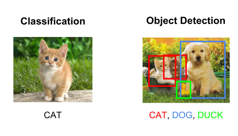 Classification vs Detection