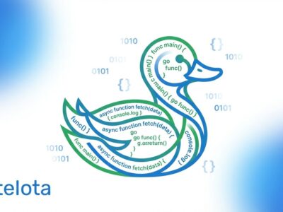 Duck programming language tutorial - compiled full-stack framework