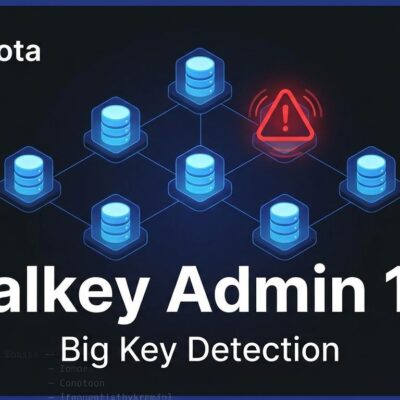 Valkey Admin 1.1 cluster diagram showing big key detection across database shards