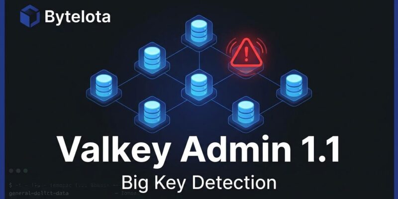 Valkey Admin 1.1 cluster diagram showing big key detection across database shards