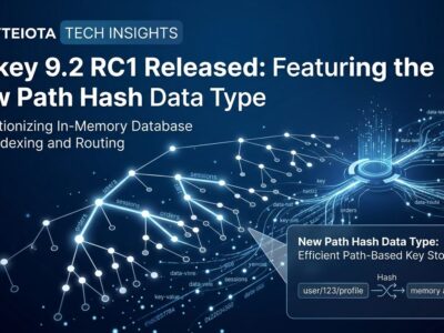 Valkey 9.2 RC1 Path Hash radix tree data type illustration with blue network nodes