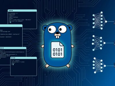 Janus Go binary local LLM inference — no Python, no Docker, no Ollama